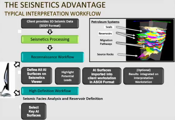 Product: Seismic Data Processing & Interpretation – Seisnetics - Ogab Engineering